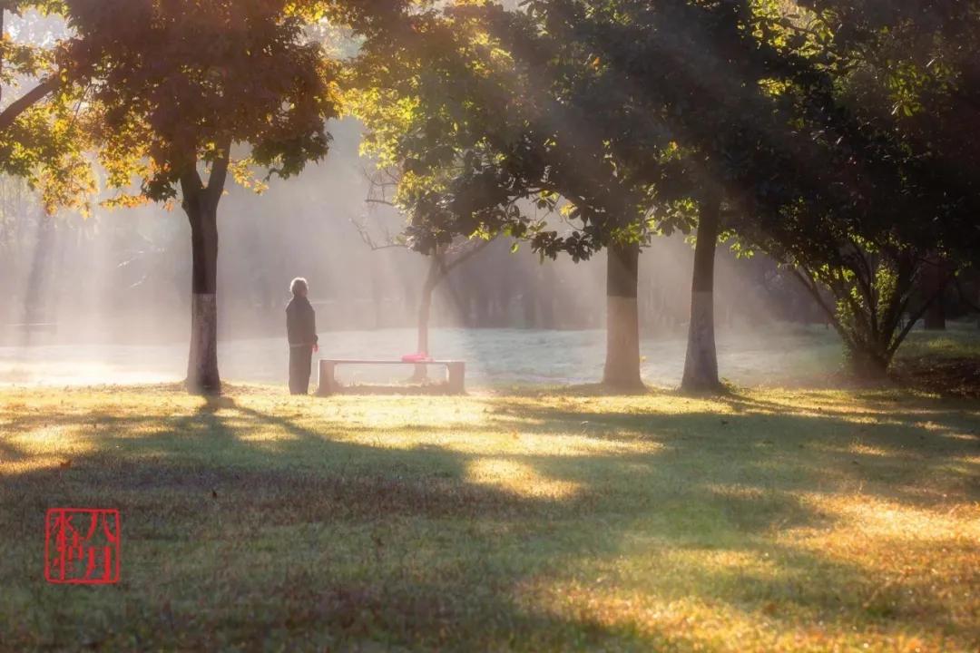 南京塑胶健身步道,10条南京最美步道