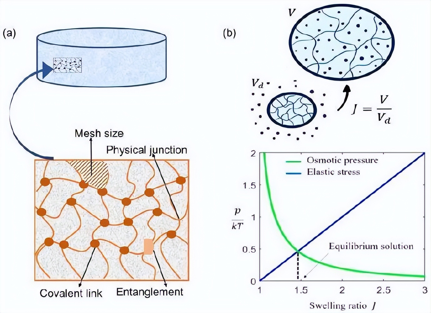 纤维素基水凝胶,纤维素水凝胶