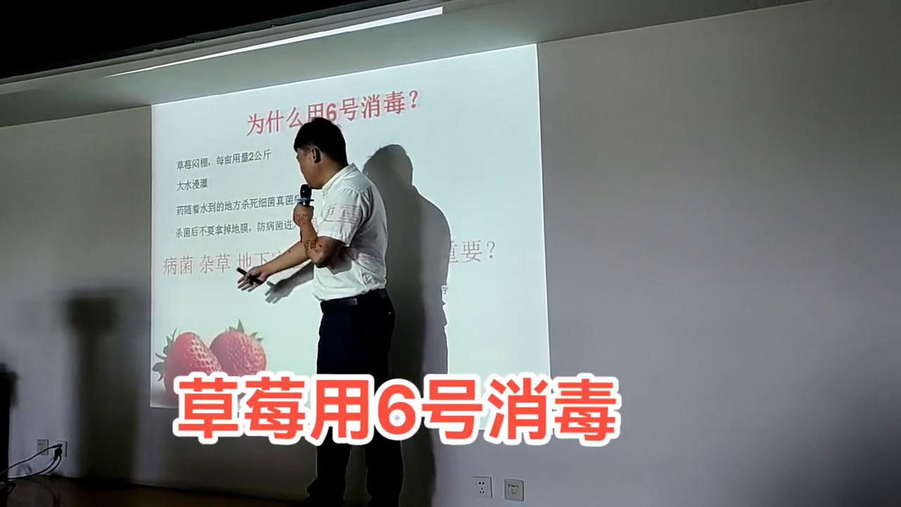 草莓病虫害专用药,草莓表面可以用75%酒精消毒吗