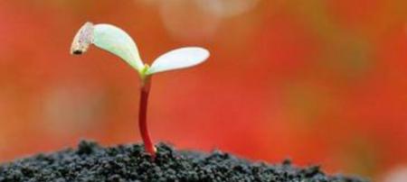 临床研究的目的与意义,临床研究项目是什么意思