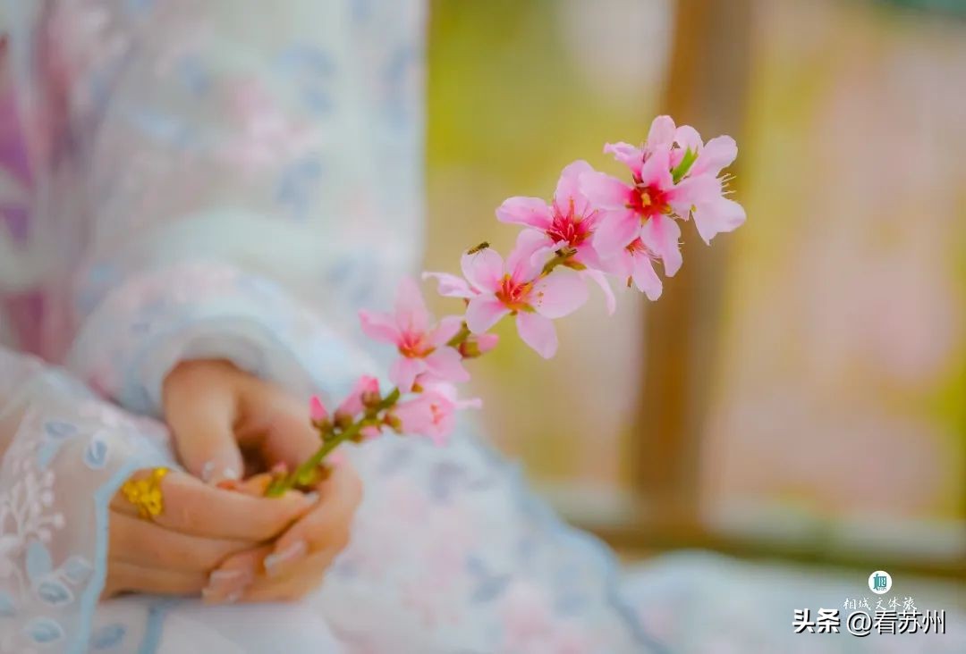 苏州赏花的地方,苏州三月中旬赏花去处