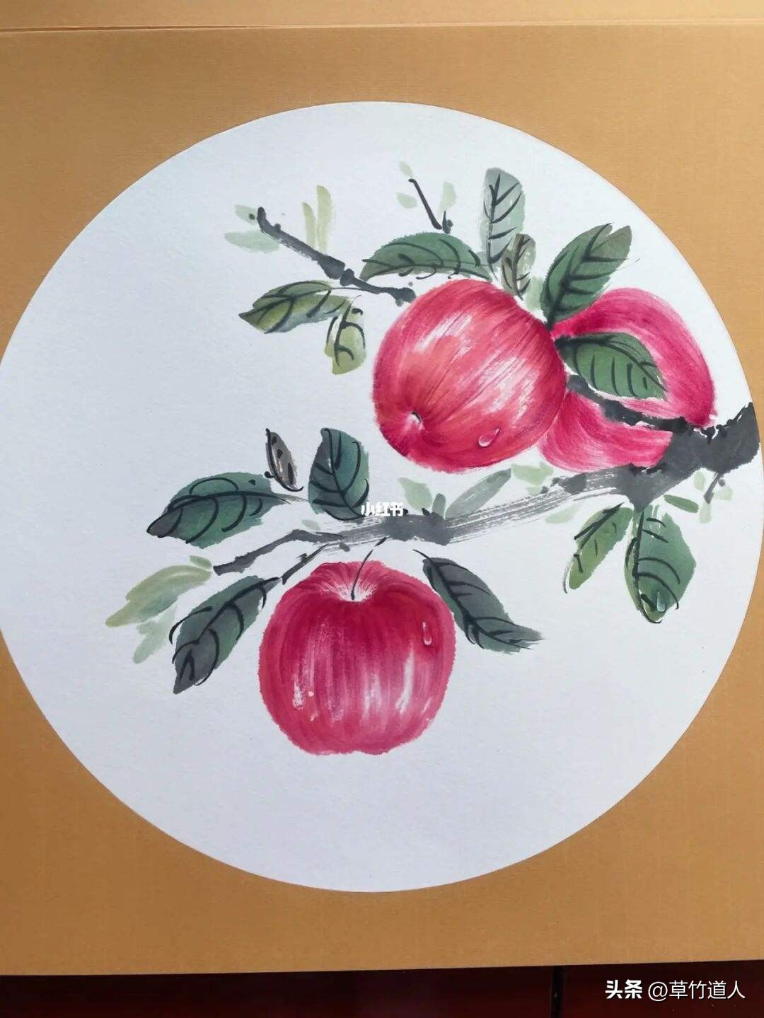 苹果的简单画法步骤图儿童版,少儿苹果的画法