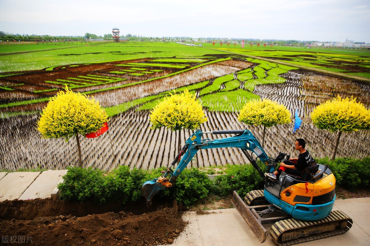 创意农业发展,创意农业发展新活力