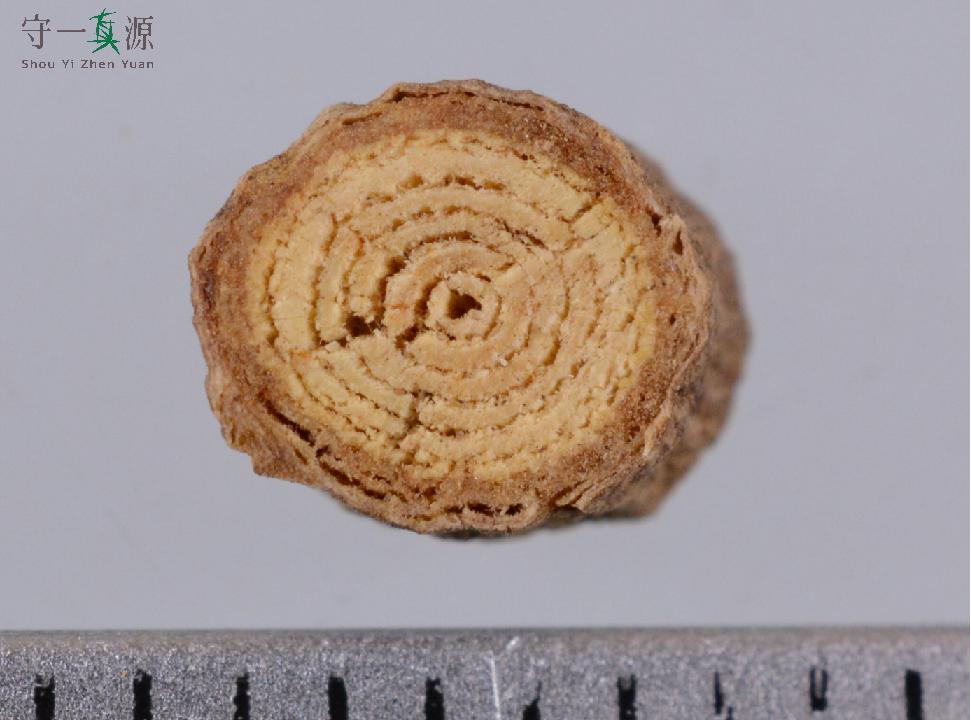 中药真伪鉴定案例,中药鉴定真假找谁