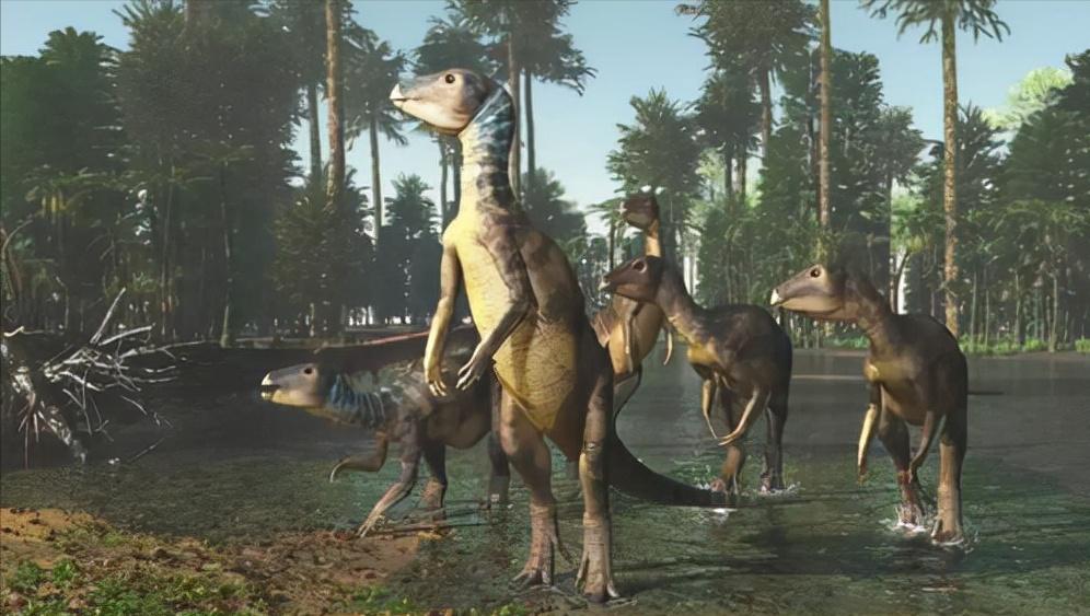 鸡的祖先是霸王龙？它为何每天都下蛋，细数鸡身上的“恐龙基因”