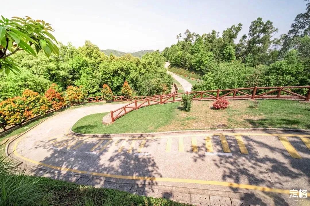 深圳最值得爬的景点,深圳十大最值得爬的山