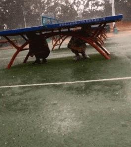 女朋友发来照片说刚运动完什么梗,女朋友发照片说刚运动完