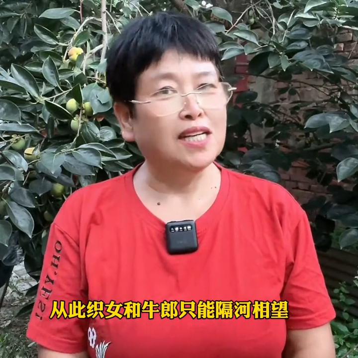 七夕短视频制作软件,100期短视频创作