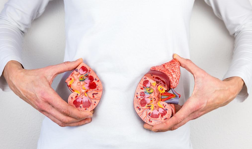 缇庡浗鍗栦汉浣撳櫒瀹樺垽鍑犲勾,缇庡浗鍗栦汉浣撳櫒瀹樻