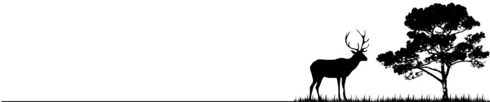 钱学森蒋英晚年照片,钱学森与蒋英年龄差几岁