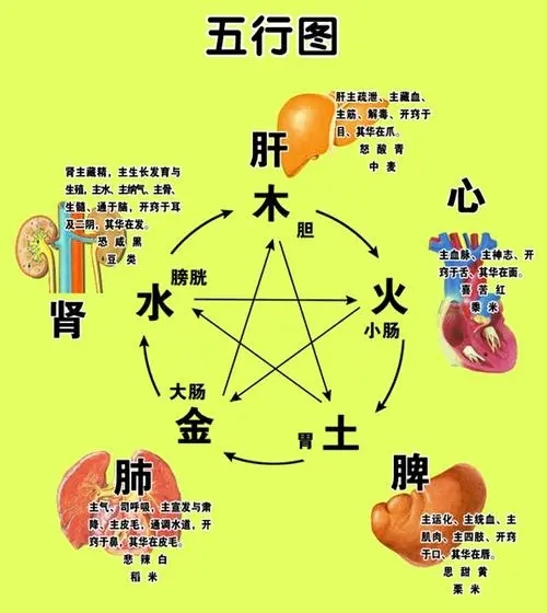 看懂五行与命运,揭秘五行从何而来人算不如天算