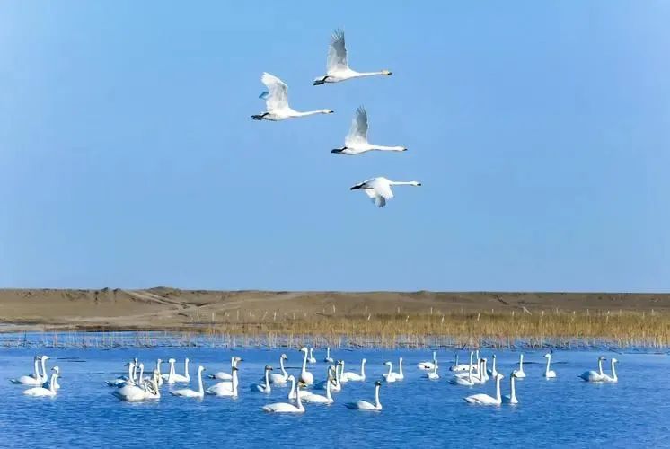 你不知道的中国内蒙古,你还不知道的内蒙古