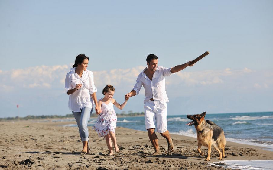 调解家庭矛盾项目,调解家庭矛盾的原则