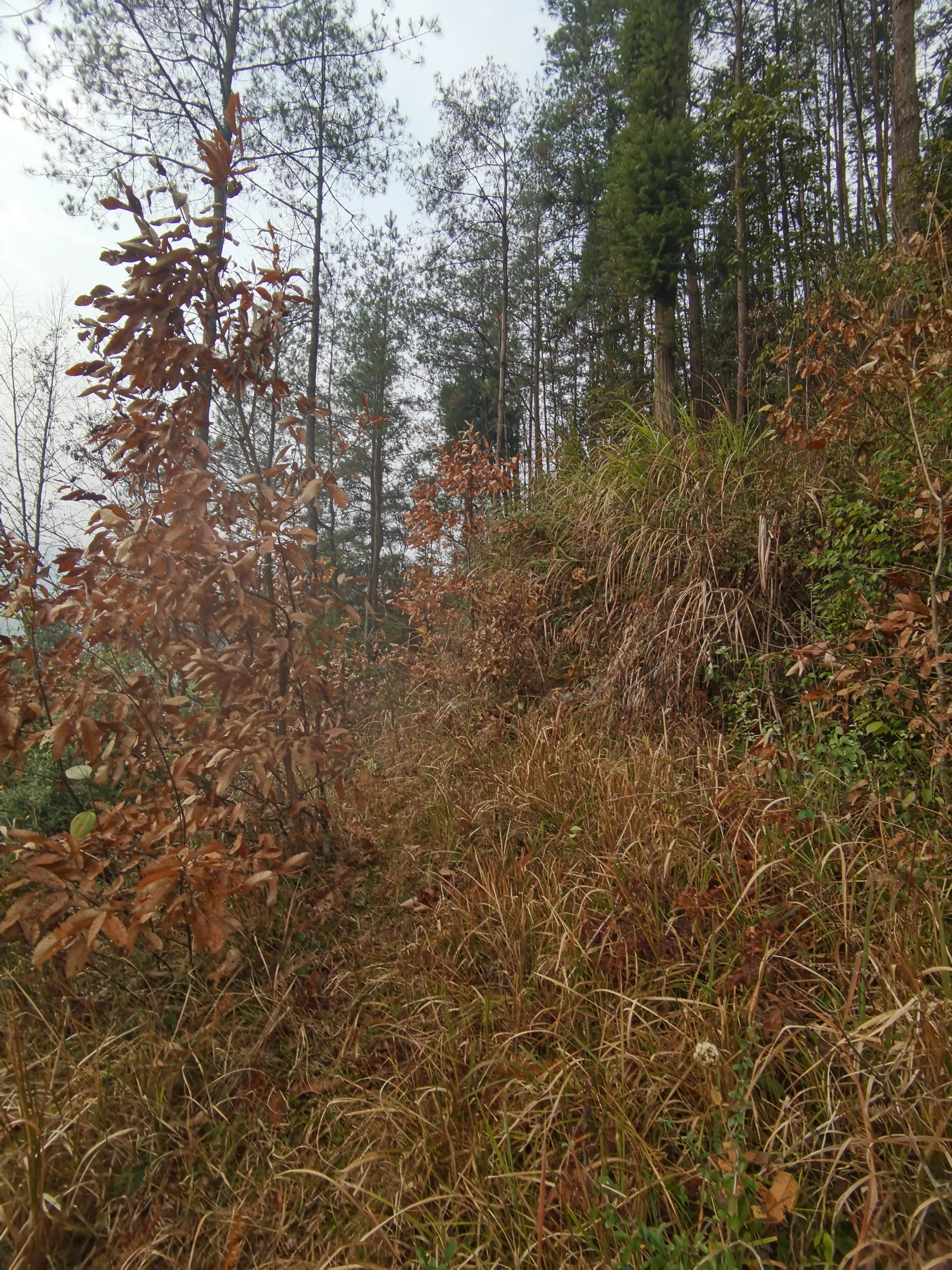 我家后面有座大山,我家后面有一座山用什么符号表示