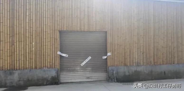 大叔如何巧将青瓜的价格提升10倍?记录疫情下菜贩子的华丽转身