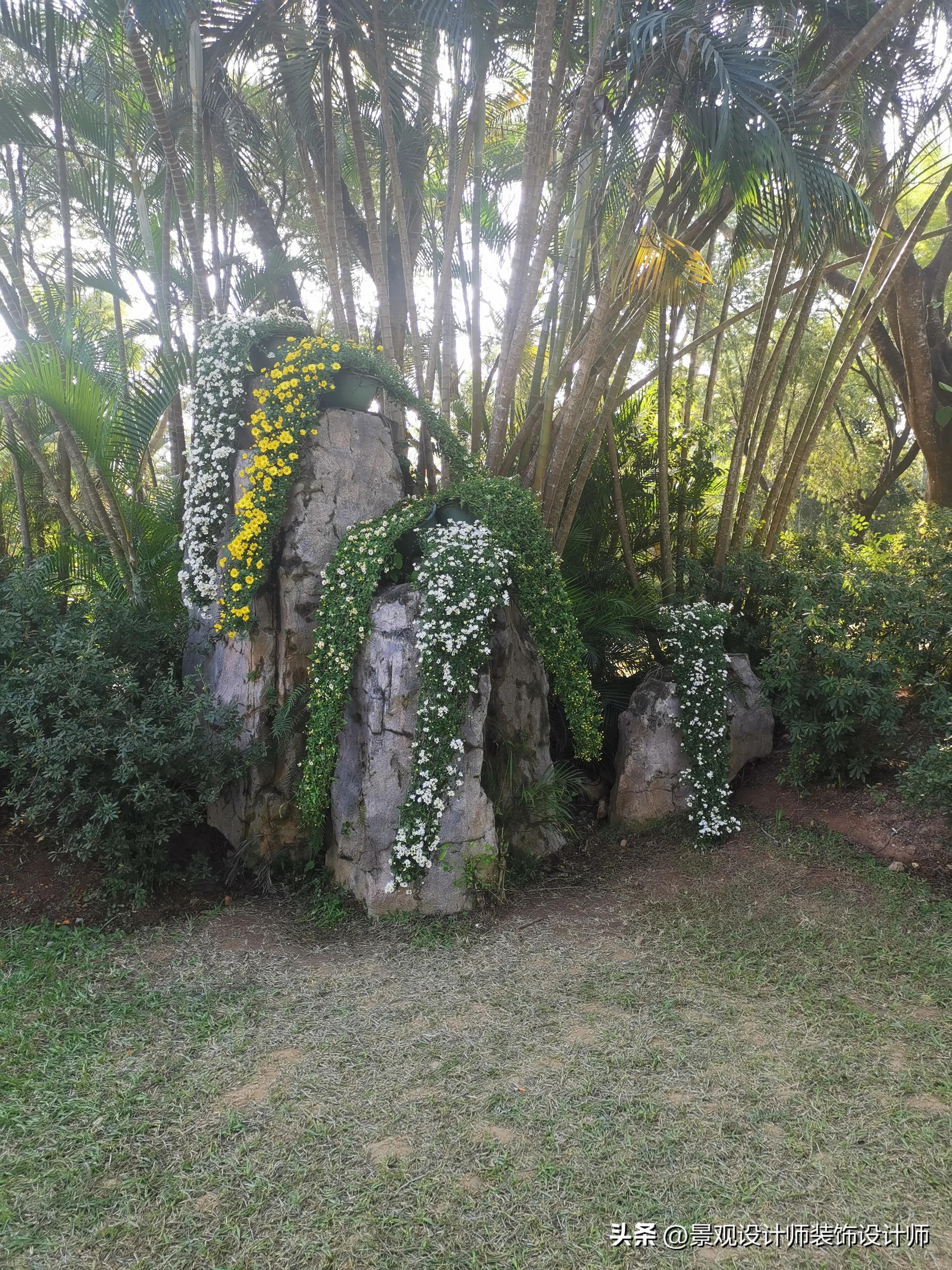 深圳市东湖公园广场舞,深圳市东湖公园收费标准