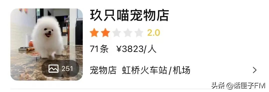 宠物狗销售陷阱,宠物销售内幕