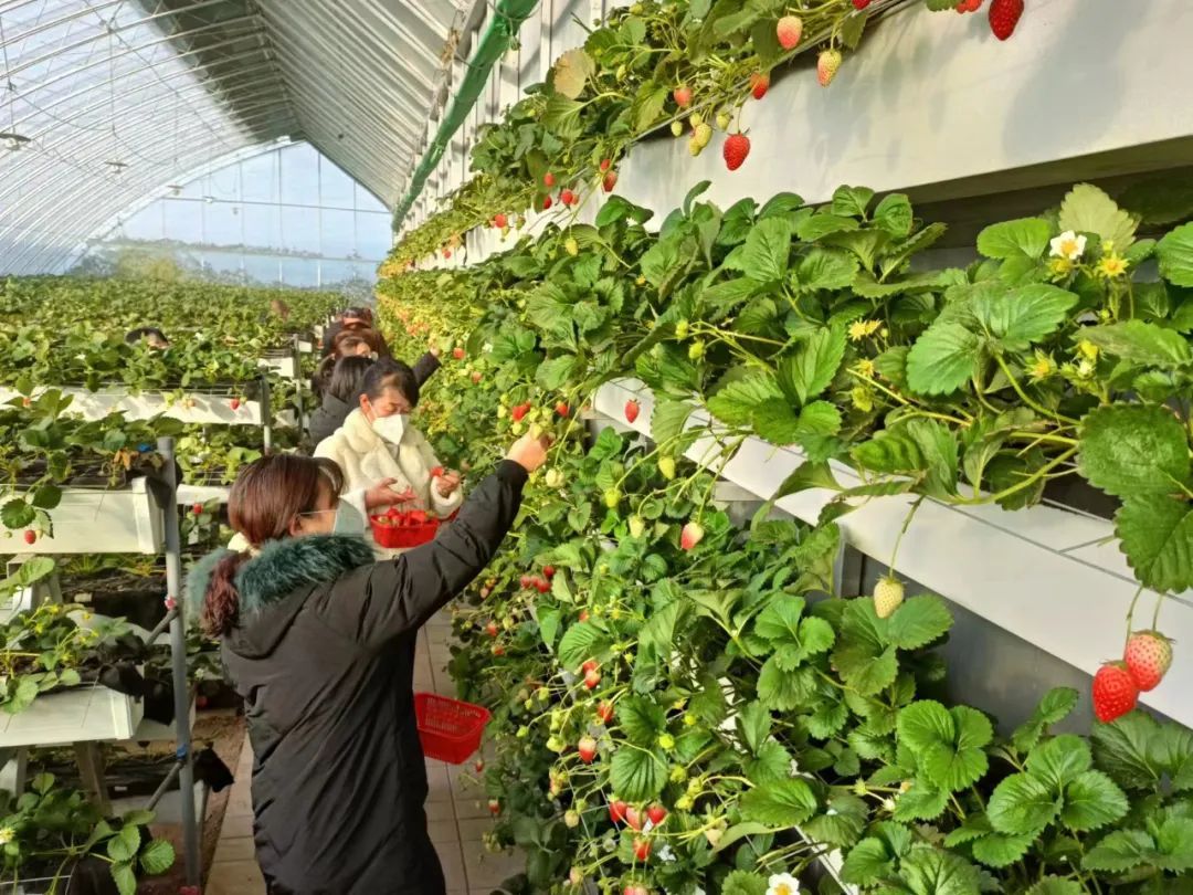 邀您来看，冬日里的“致富经”~