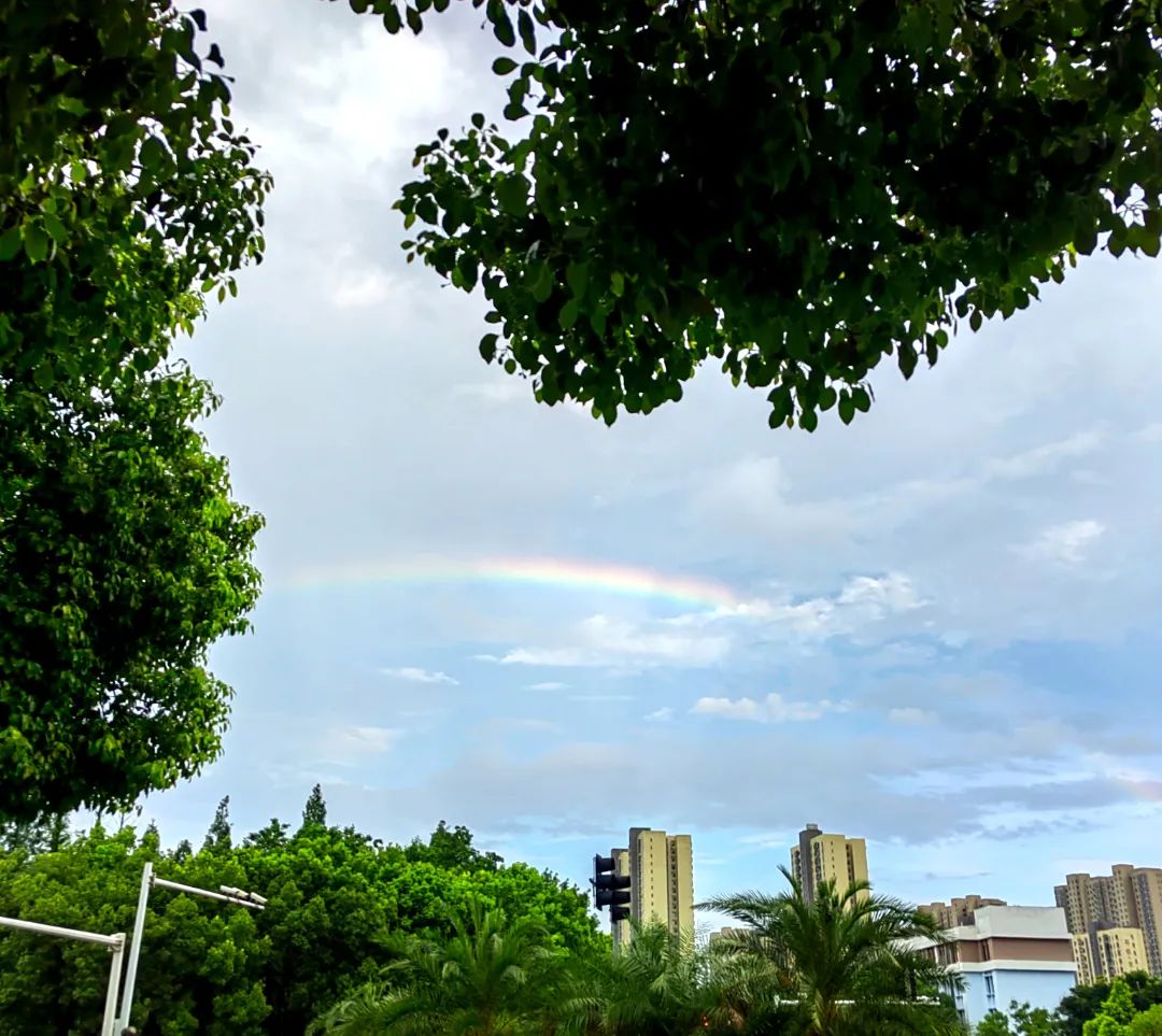 听听审计人的“盛夏果实”