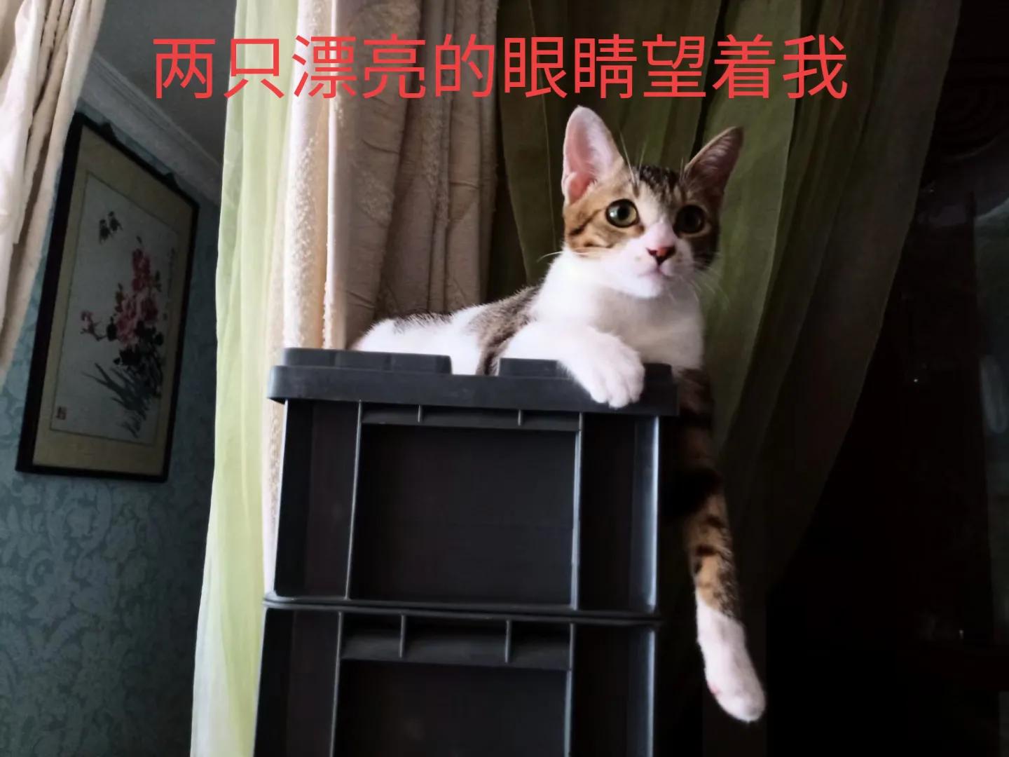 happy鎴戠殑濂冲鎻掓洸,浣爃appy鎴戜篃happy