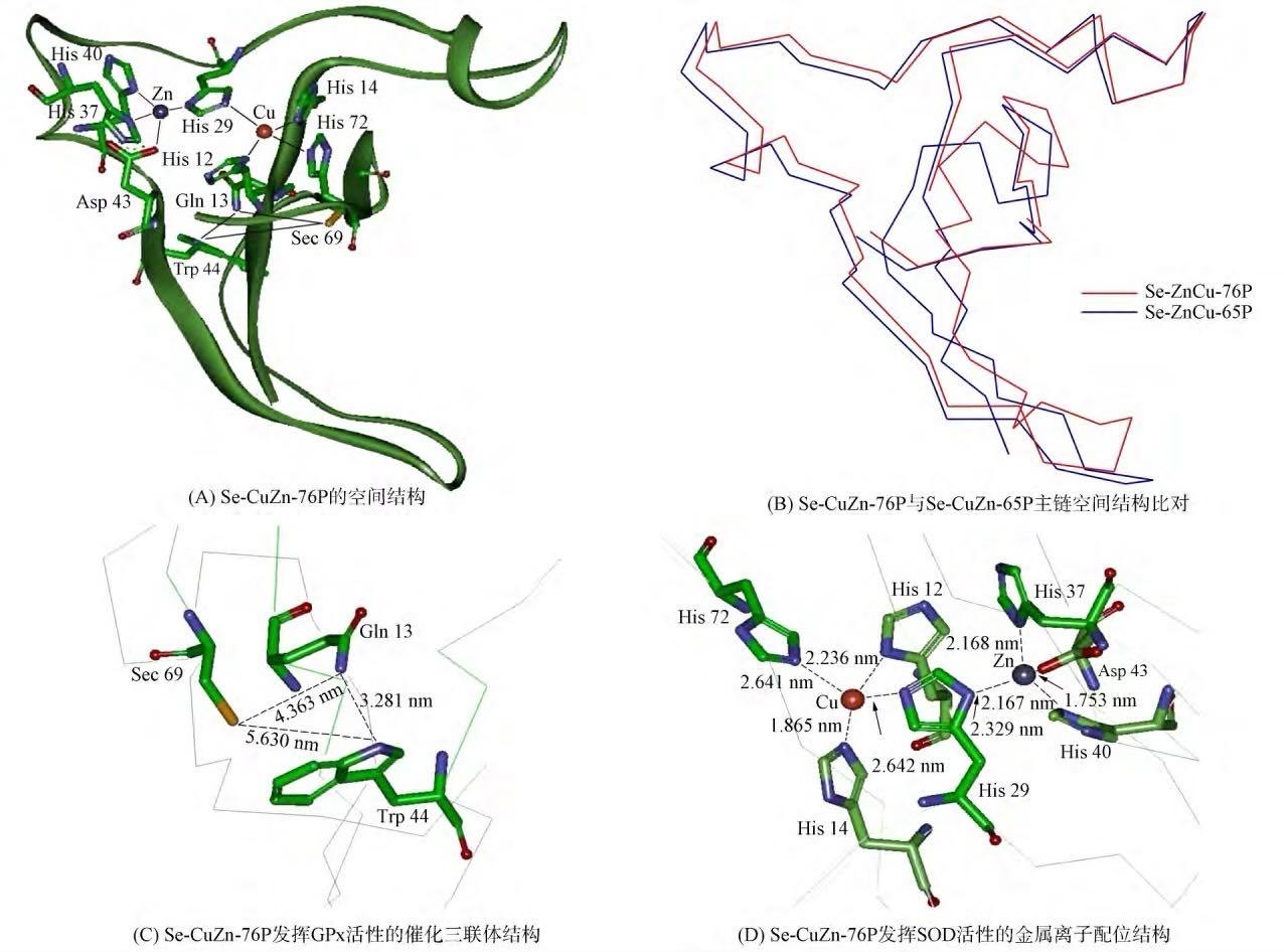 超氧化物歧化酶,超氧化物歧化酶活性降低