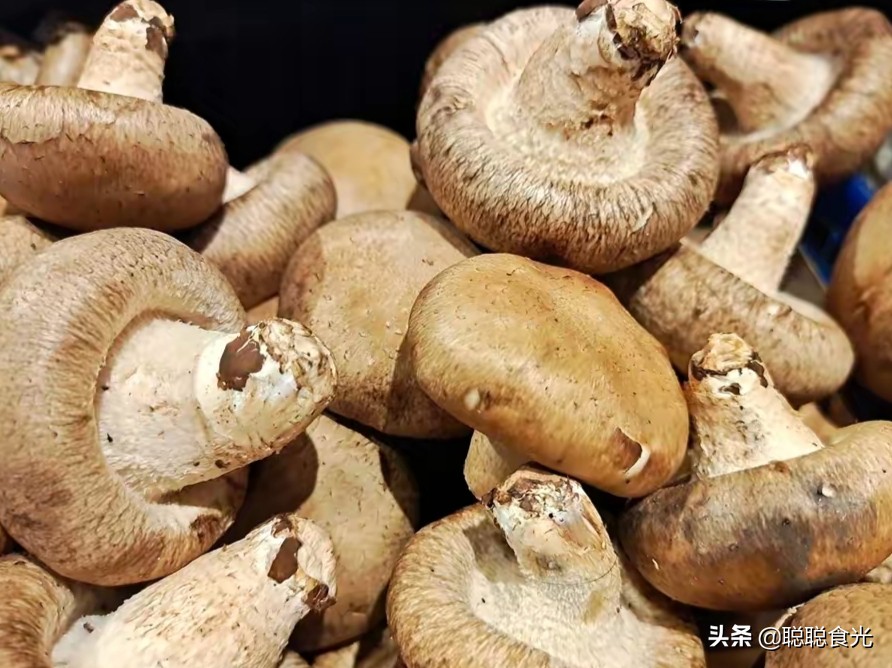 买香菇要注意哪些问题,买干香菇如何挑选