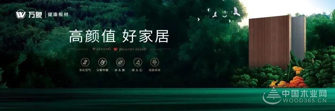 攀高逐新万象天冠揽获“家具板十大品牌”荣誉