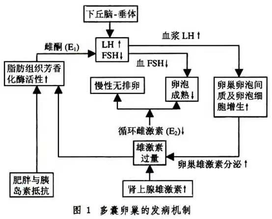 月经不规则被开了降糖药，这是什么神操作？