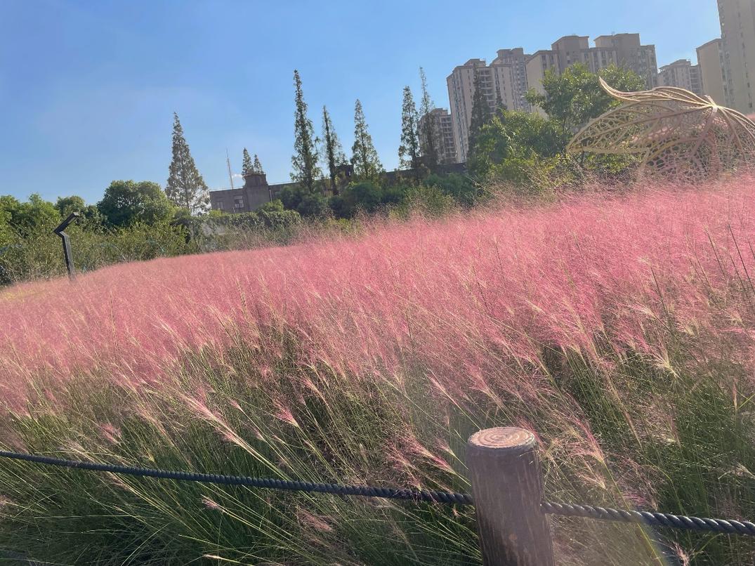 这个地方上榜啦!小虹带你足不出户,云赏美景!