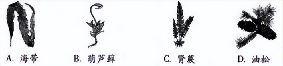 2022初中生物会考真题及答案,2022初中生物测试卷