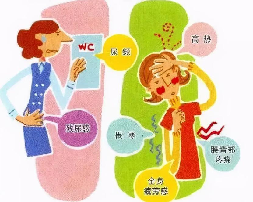 不想被反复折磨,尿路感染最简单的自愈方法