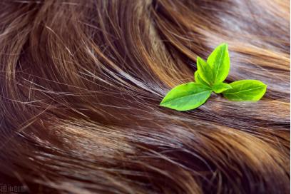 这几种洗发水会导致脱发,这3类洗发水慎用