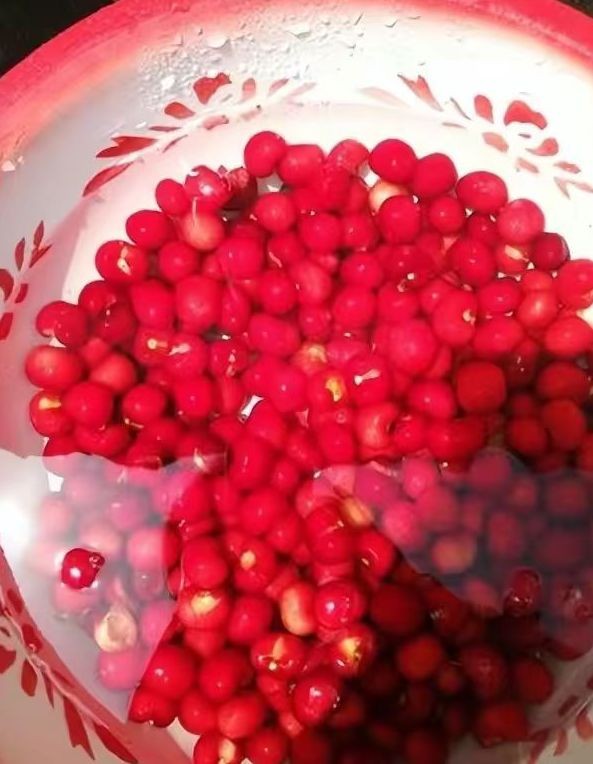 自制樱桃罐头,樱桃罐头最正宗的家庭做法