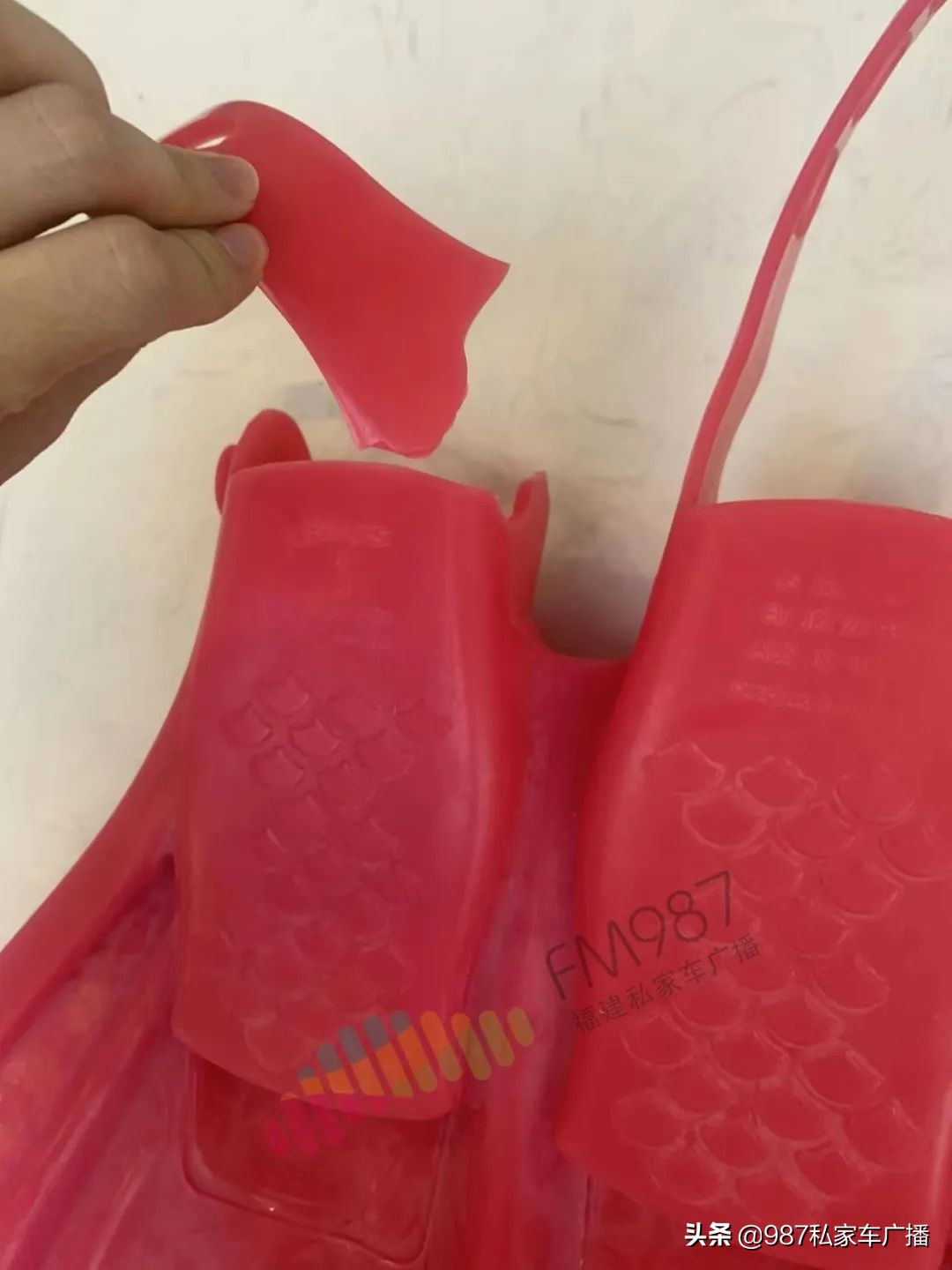 福建省林女士,福建林女士