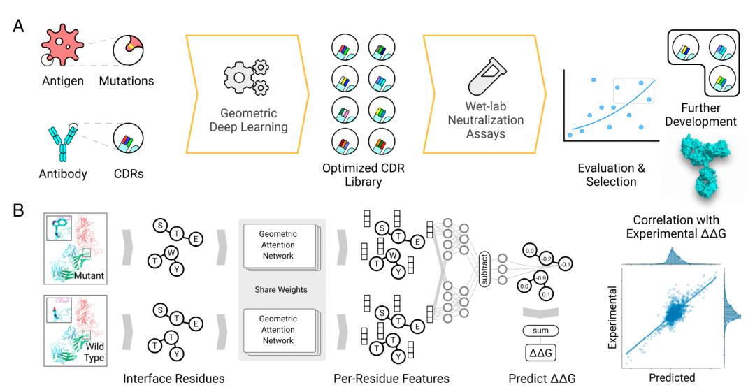alphafold2实际运用,alphafold2