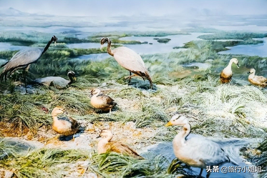 夏日海边浪漫迷人,滨城风光秀丽浪漫气息爆表