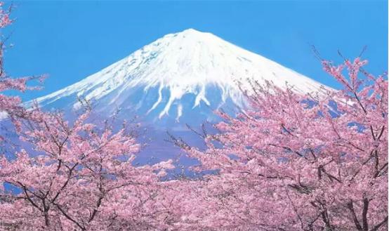 2022年日本商务签证办理需要多久,吉林省哪里可以办理日本商务签证