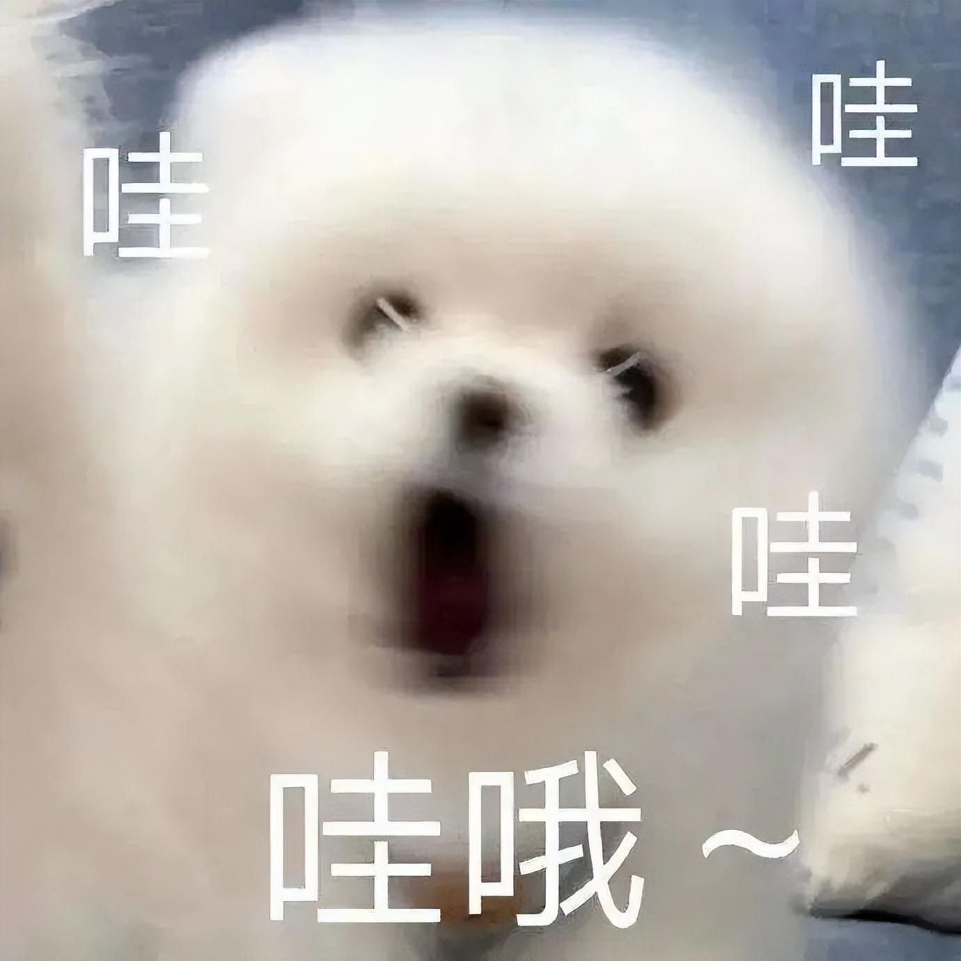 卡塔尔世界杯投入2000亿谁赚了,卡塔尔为世界杯花费多少钱