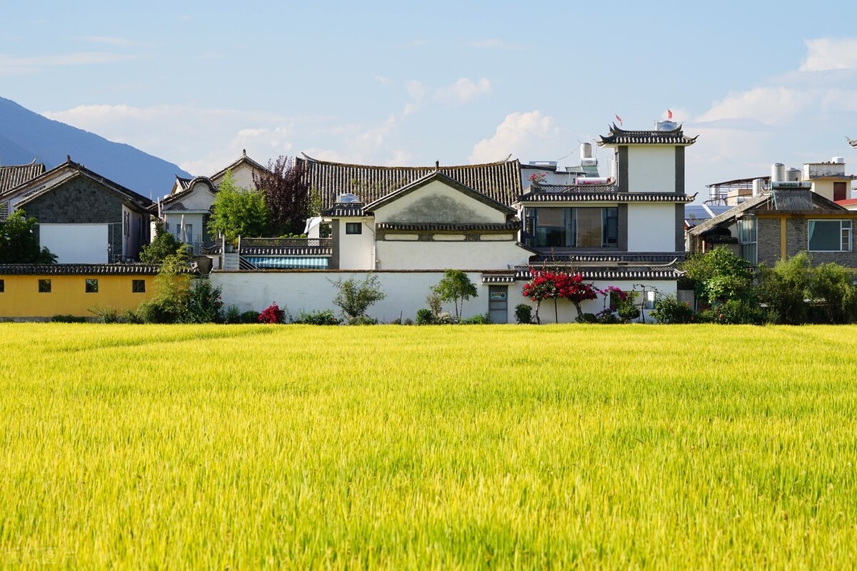 春节去云南哪里游玩有特色,春节除了云南还有哪里好耍
