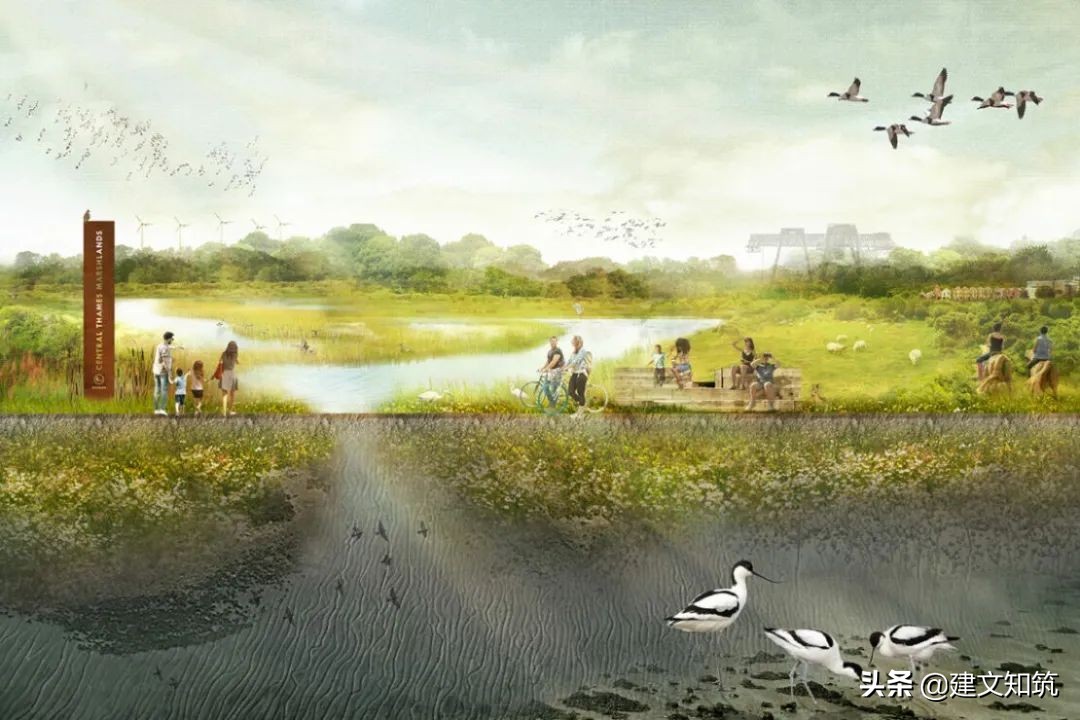 waf2023世锦赛,waf国内排名