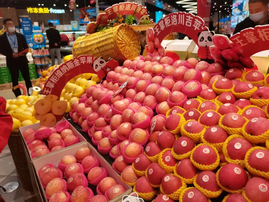 一起来看美丽的淀山湖,一起来看苏州京杭大运河