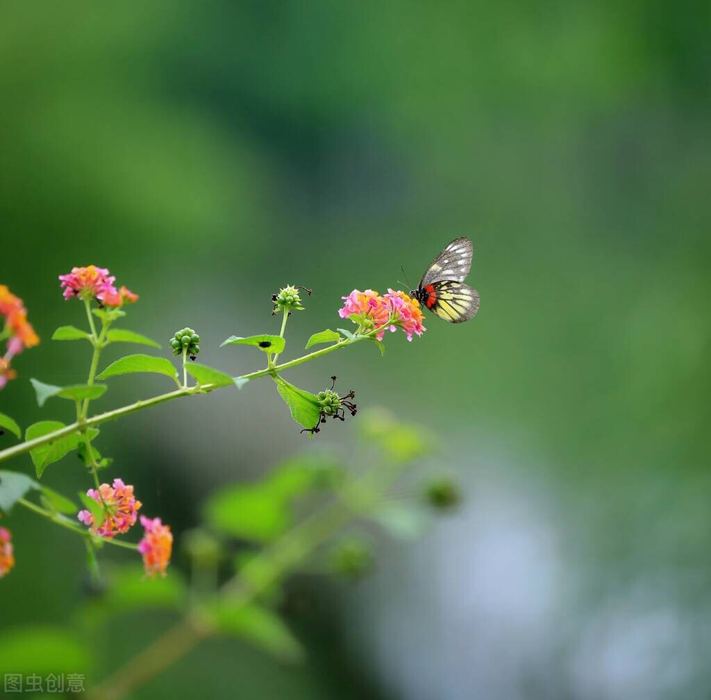 经典语录感悟人生短句朋友圈,经典说说人生感悟短句文案