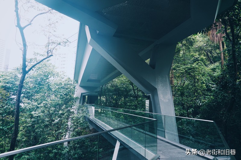 罗生门和黄粱梦,罗生门香港live