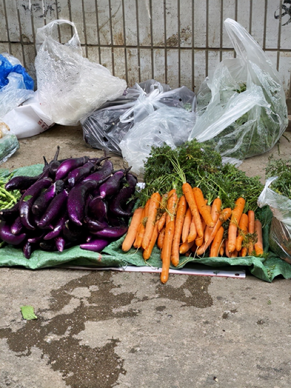 昆明一座让人流连忘返的城市,被低估的旅游城市昆明