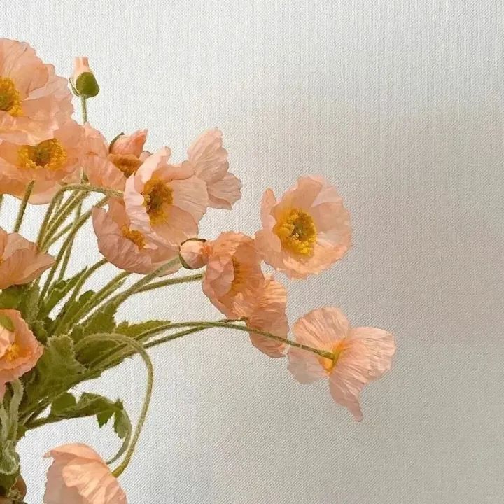 母亲节暖心文案祝福语幼儿,母亲节感恩文案暖心