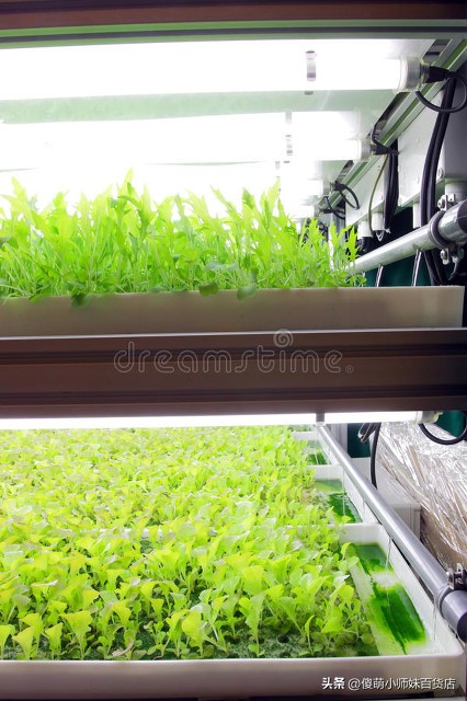 100多度的眼睛如何进行护眼,眼睛护眼