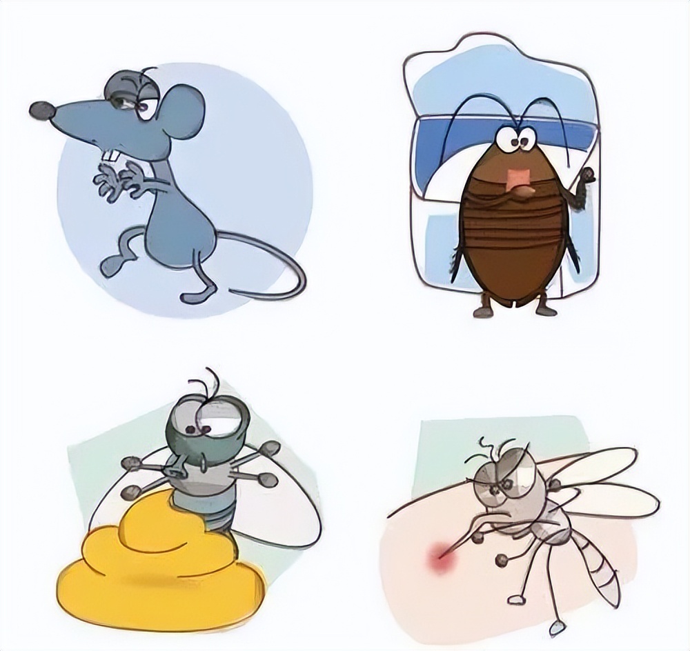 家庭除四害注意事项,夏天的四害怎么消灭