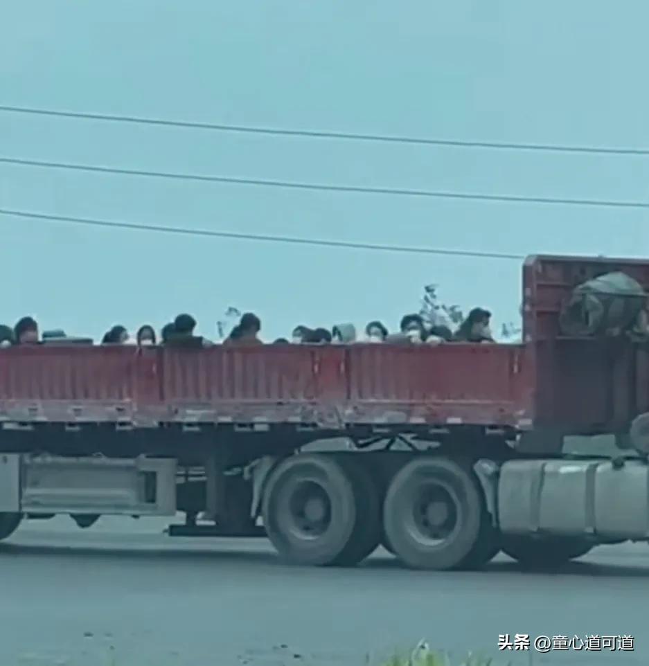 最具正能量卡车司机,最勇敢卡车司机