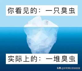 密密麻麻又小又黄的颗粒是虫卵吗,家里褐色小颗粒是什么虫卵