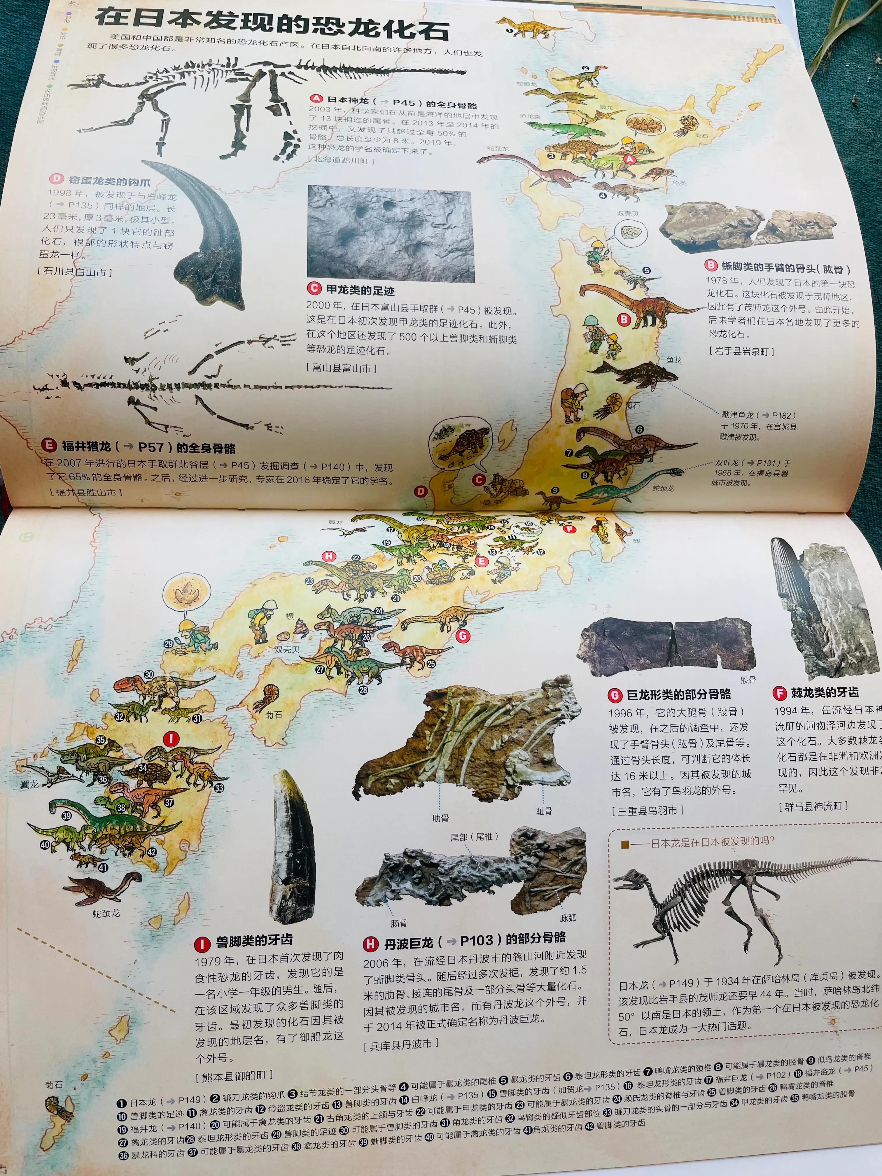 恐龙书单,恐龙的书单